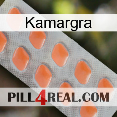 Kamargra 26